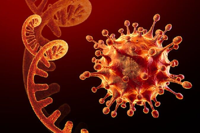 ۶ مورد مبتلا به ویروس اومیکرون در یک کشور اروپایی