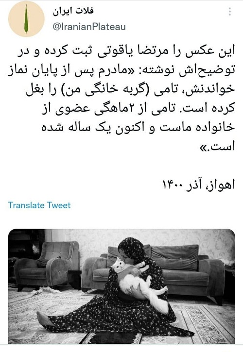 مادری که بعد از نماز گربهاش را بغل میکند مادری که بعد از نماز گربهاش را بغل میکند