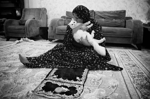 بوسیدن گریه