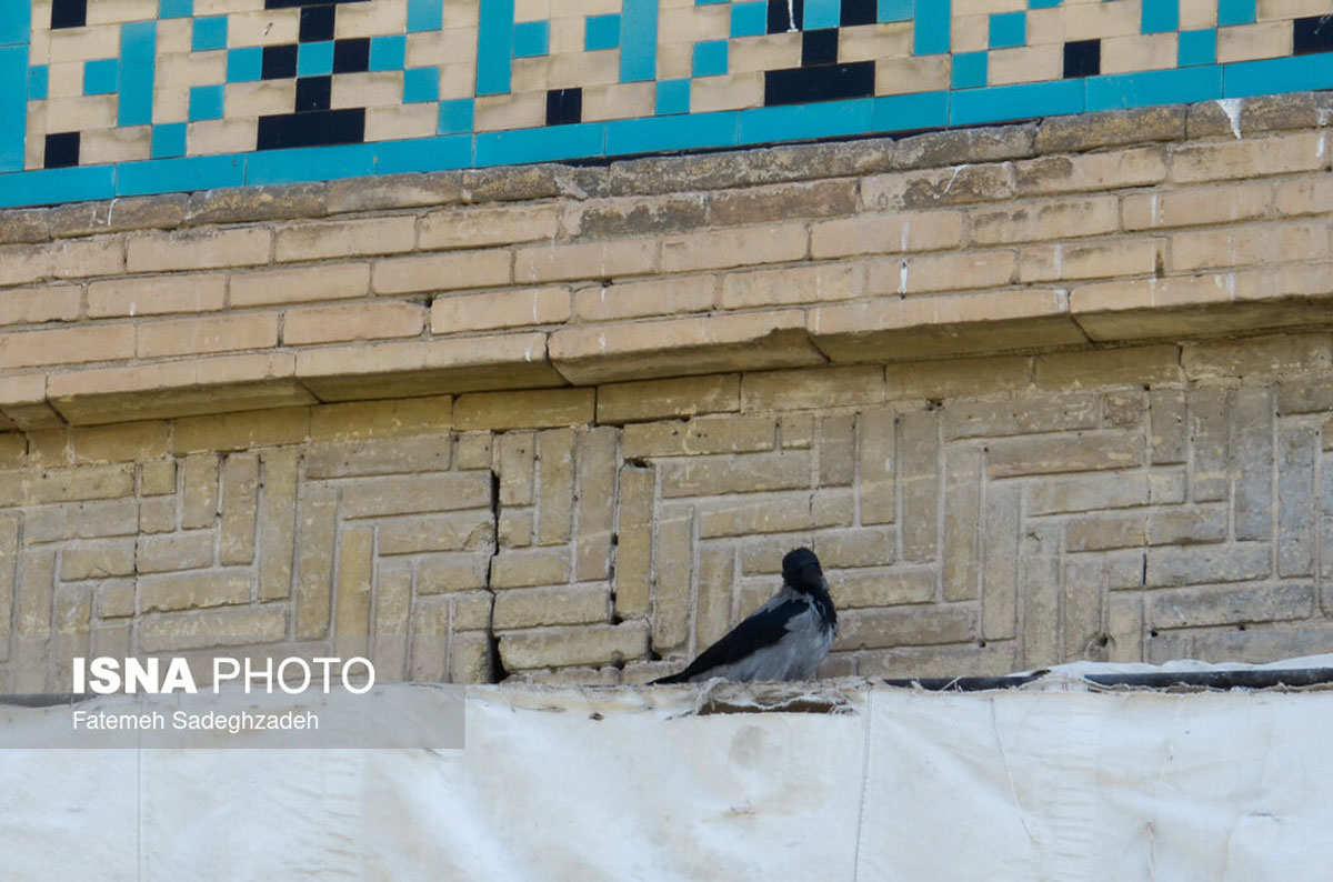 بحران فرونشست در مناطق استراتژیک و مسکونی اصفهان بحران فرونشست در مناطق استراتژیک و مسکونی اصفهان