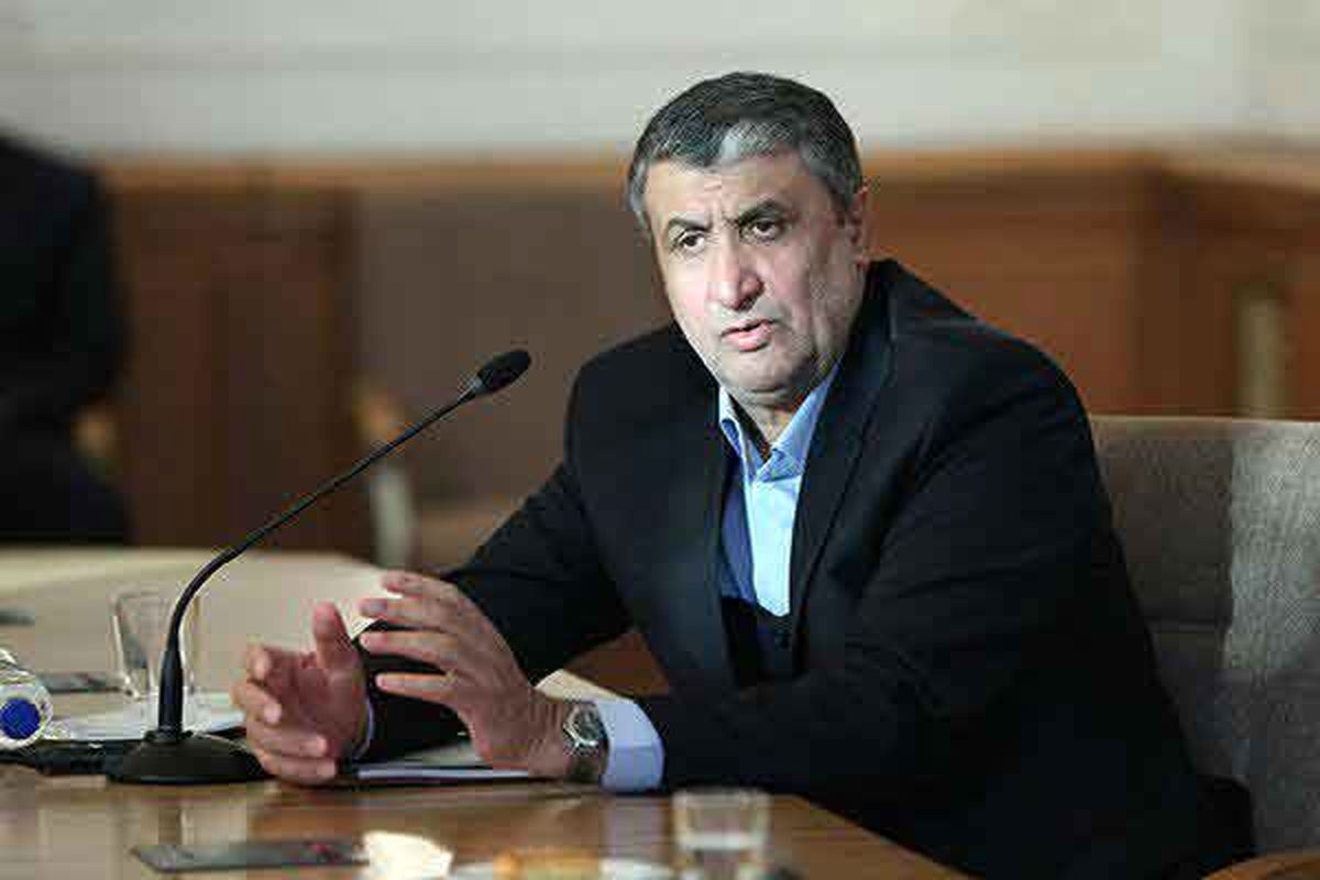 حقیقت فناوری هسته‌ای‌مان را شفاف‌سازی می‌کنیم/ برنامه‌هایمان را در سایت آژانس قرارمی‌دهیم