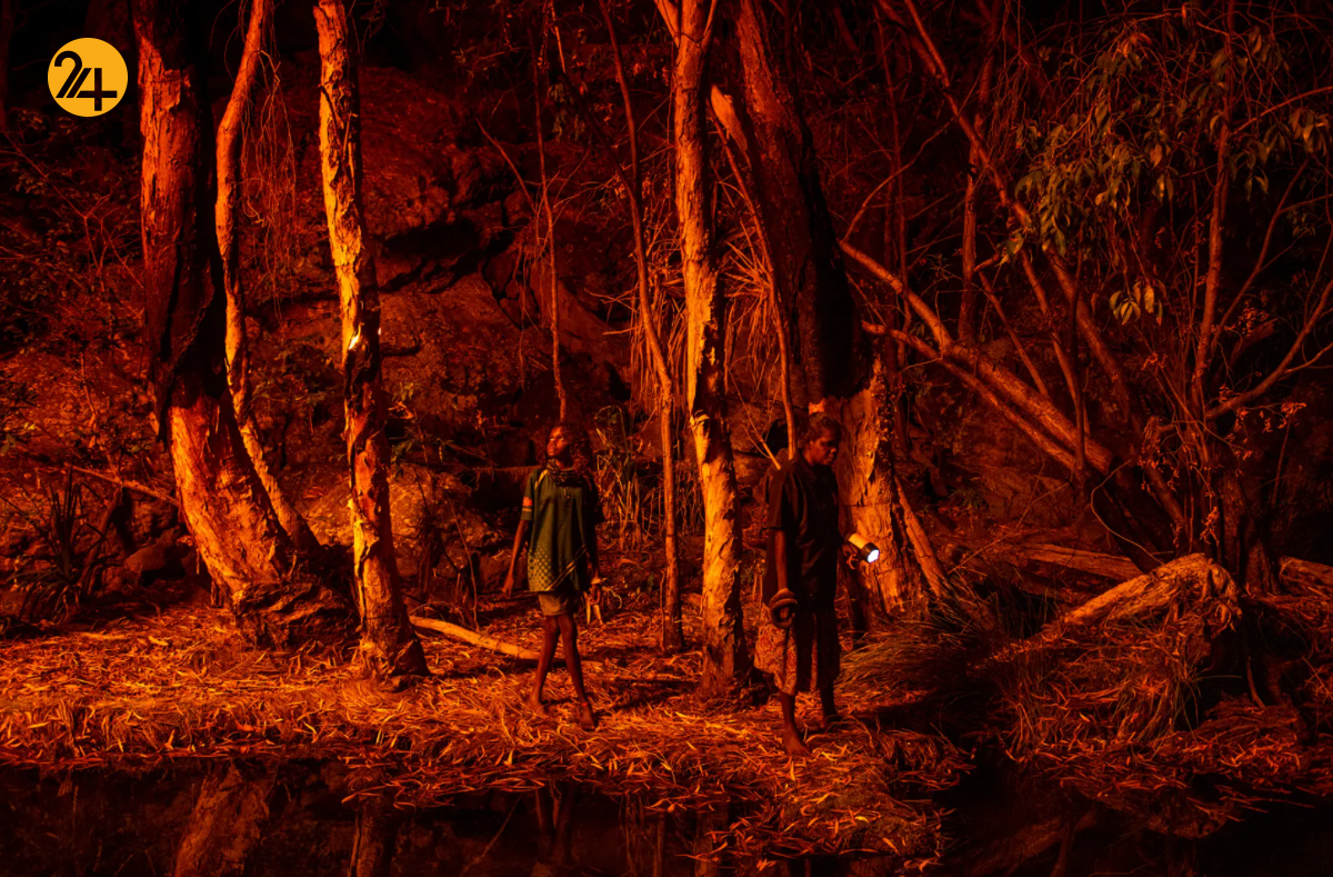 مسابقه عکاسی وورلدپرس مسابقه عکاسی وورلدپرس