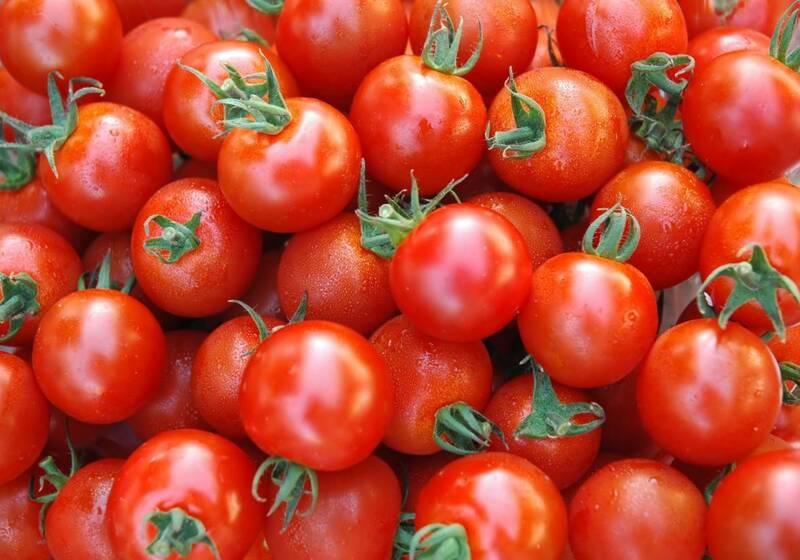 شدید قیمت گوجه فرنگی