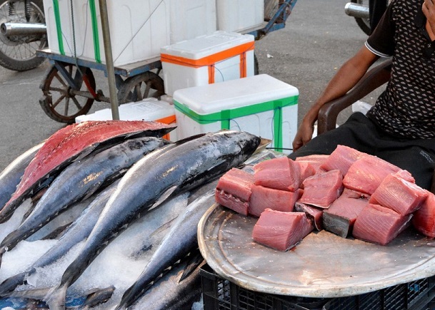 جدیدترین قیمت انواع ماهی در بازار +جدول