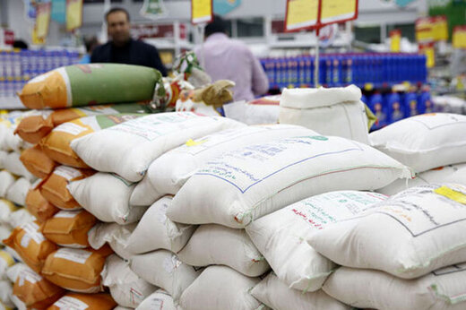 قیمت واقعی برنج ایرانی اعلام شد/ متهم جدید طغیان قیمت برنج در بازار را بشناسید