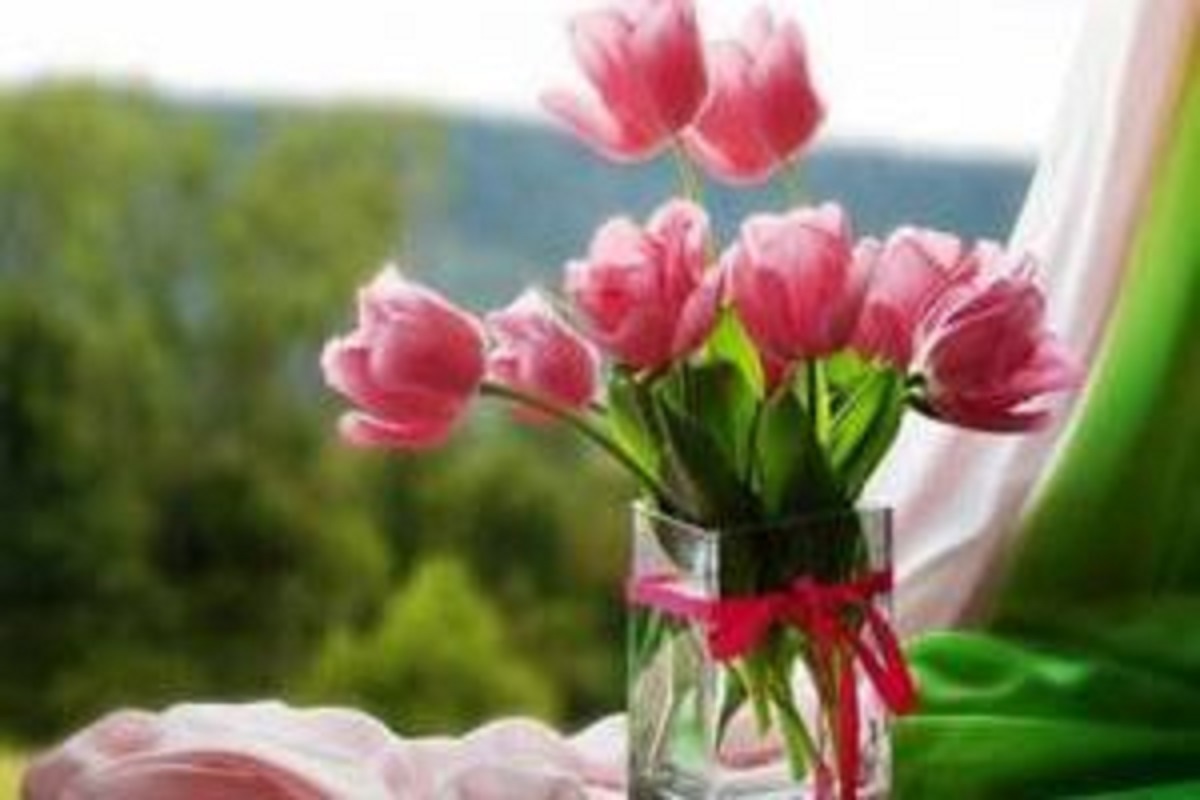 متن زیبا در مورد زندگی کوتاه متن زیبا در مورد زندگی کوتاه