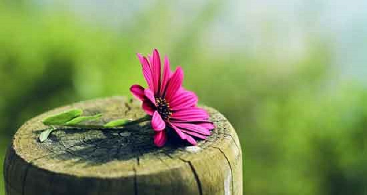 متن در مورد آرامش زندگی متن در مورد آرامش زندگی