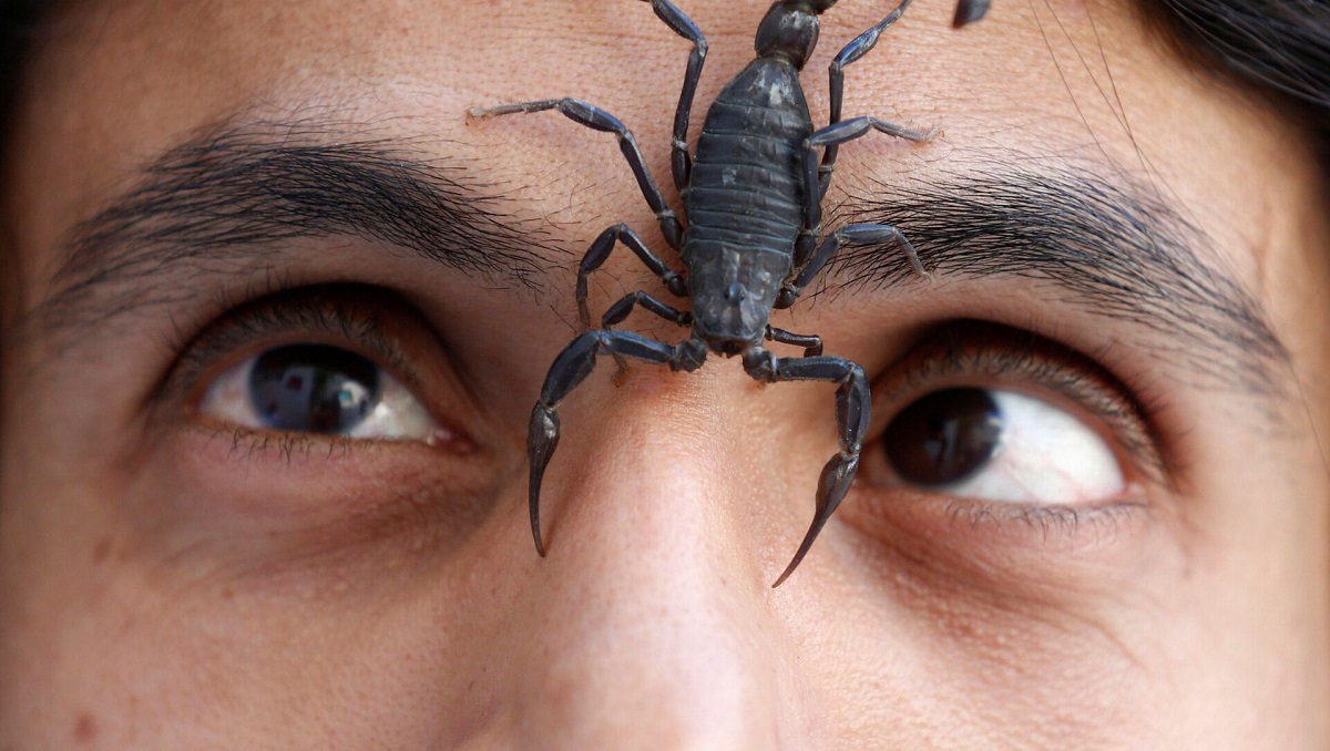 دکتری که بیماران را با عقرب معالجه می‌کند!