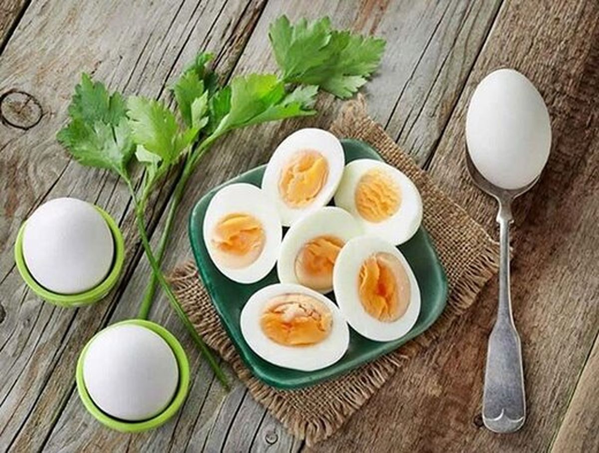 فواید و مضرات تخم مرغ را بشناسید
