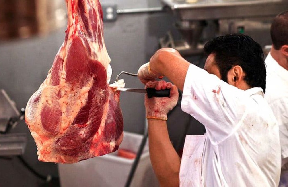 توزیع گوشت گوسفند