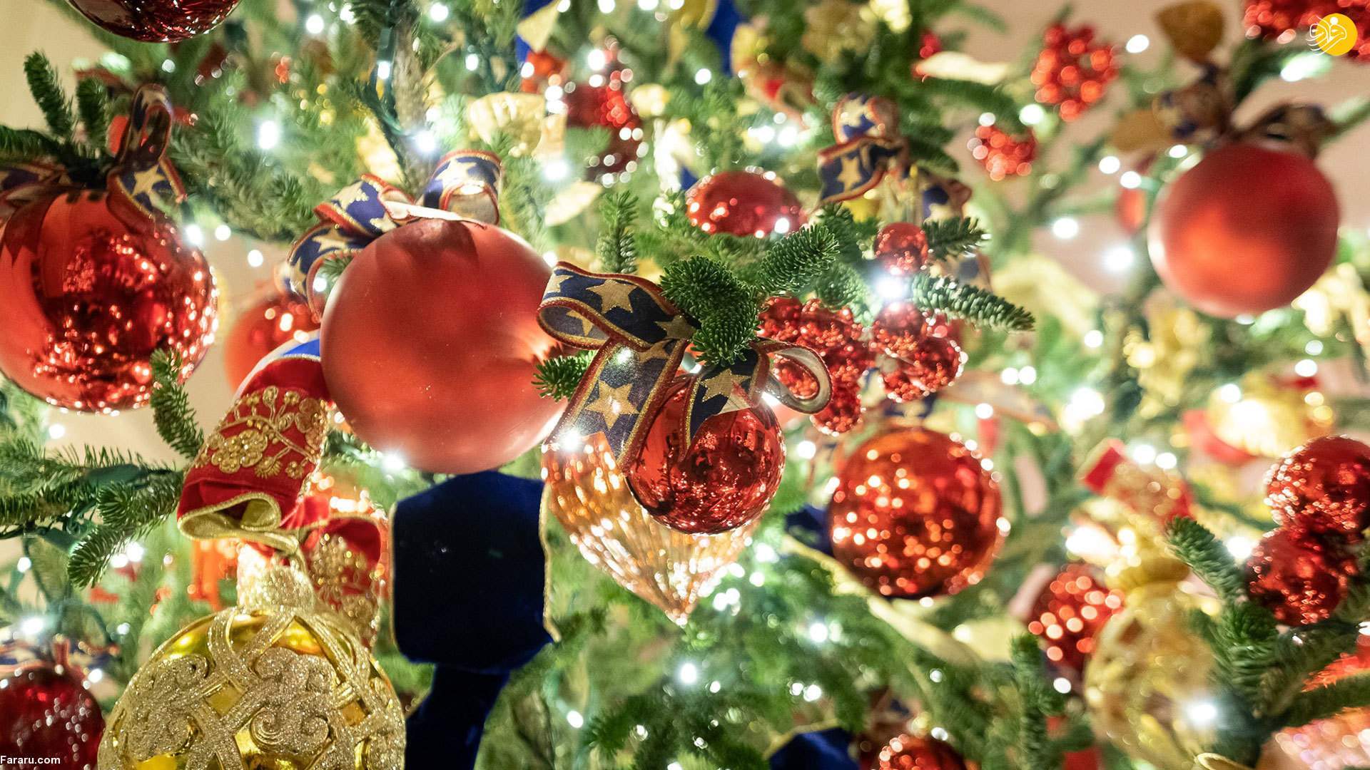 رازهای جالب از کریسمس/ هرآنچه از جشن کریسمس باید بدانید رازهای جالب از کریسمس/ هرآنچه از جشن کریسمس باید بدانید