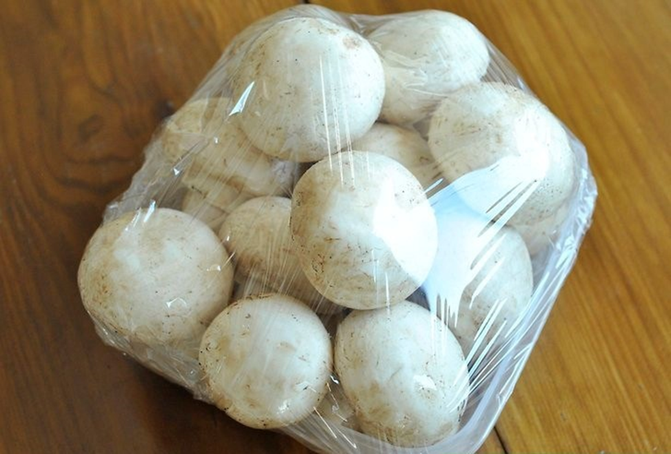 بهترین روش نگهداری قارچ چیست؟