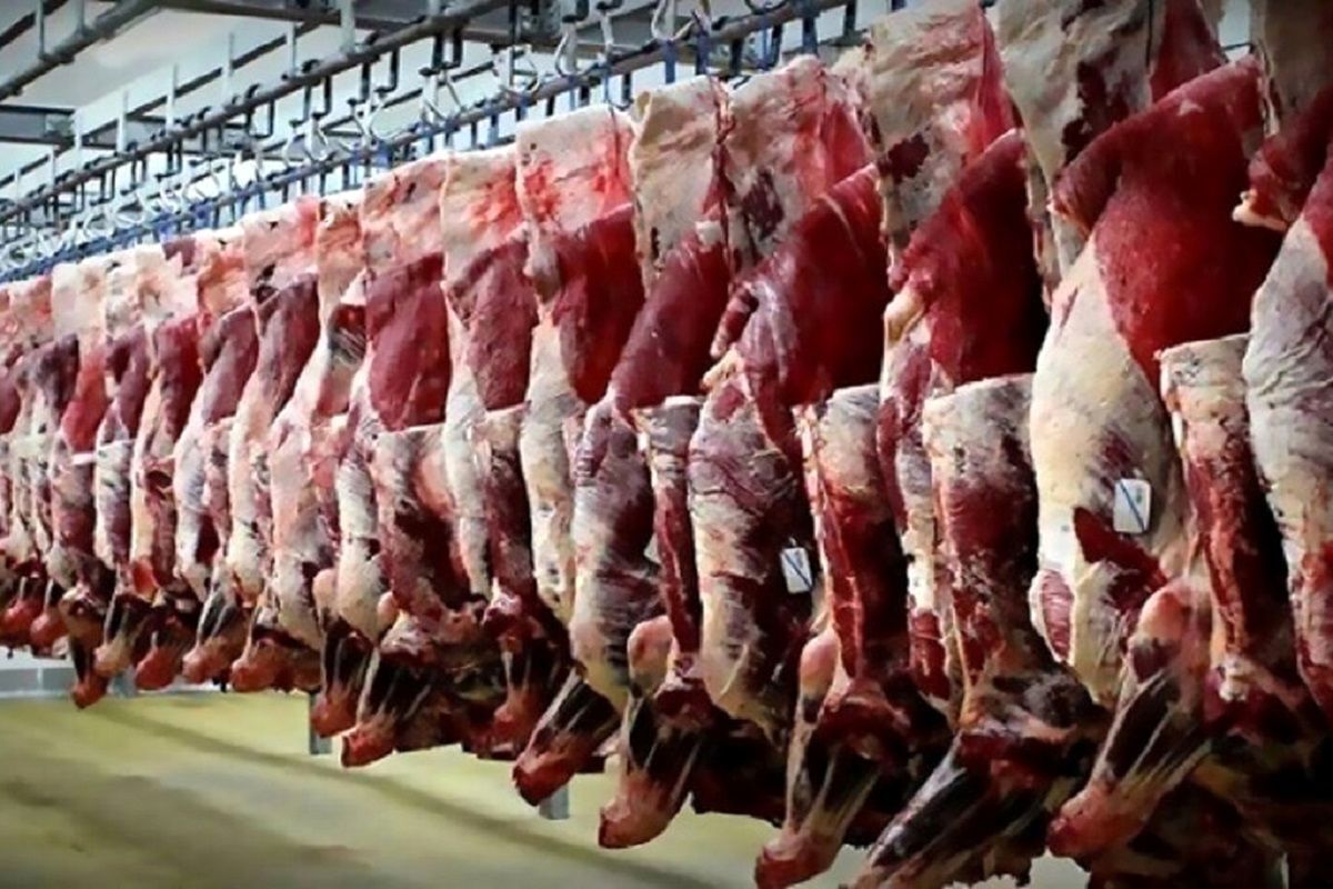 جدیدترین قیمت گوشت قرمز در میادین
