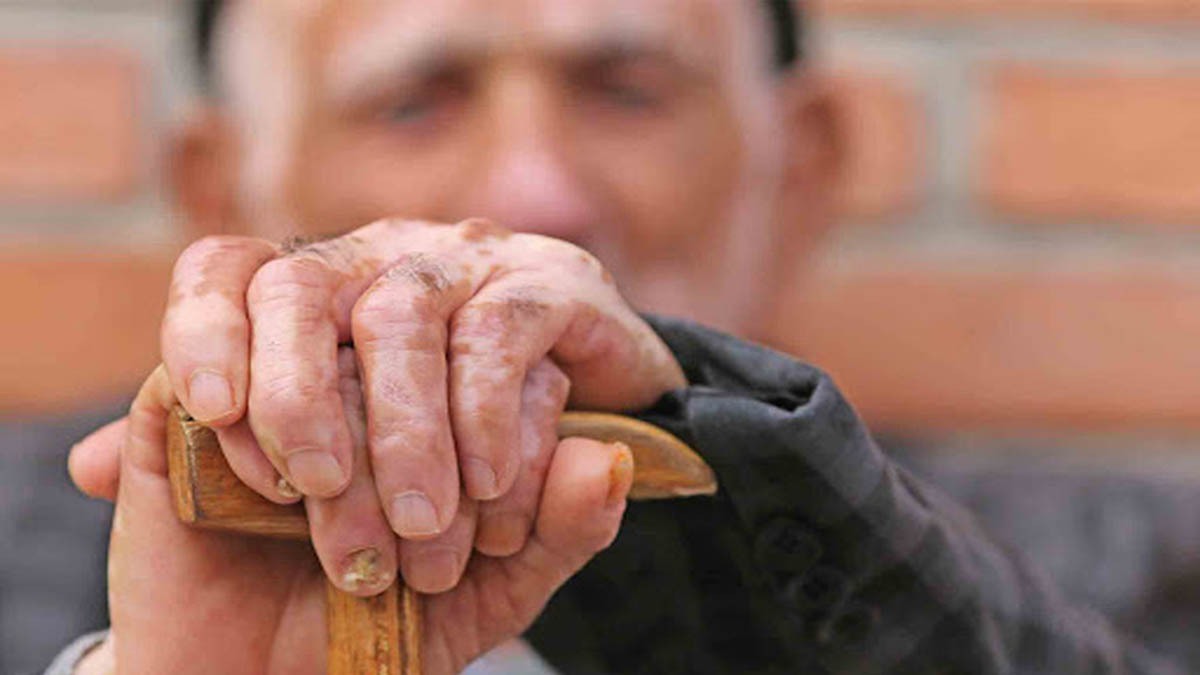 مواد غذایی لازم برای حفظ سلامتی در سالمندی مواد غذایی لازم برای حفظ سلامتی در سالمندی