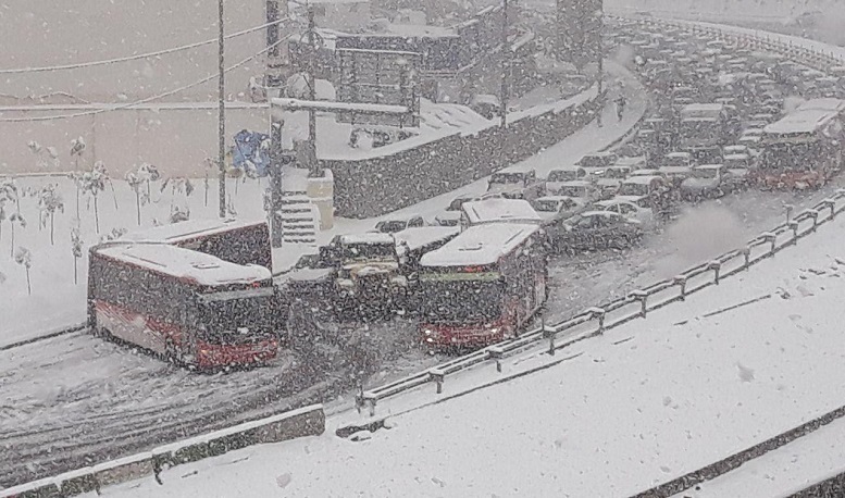 شهرداری تهران