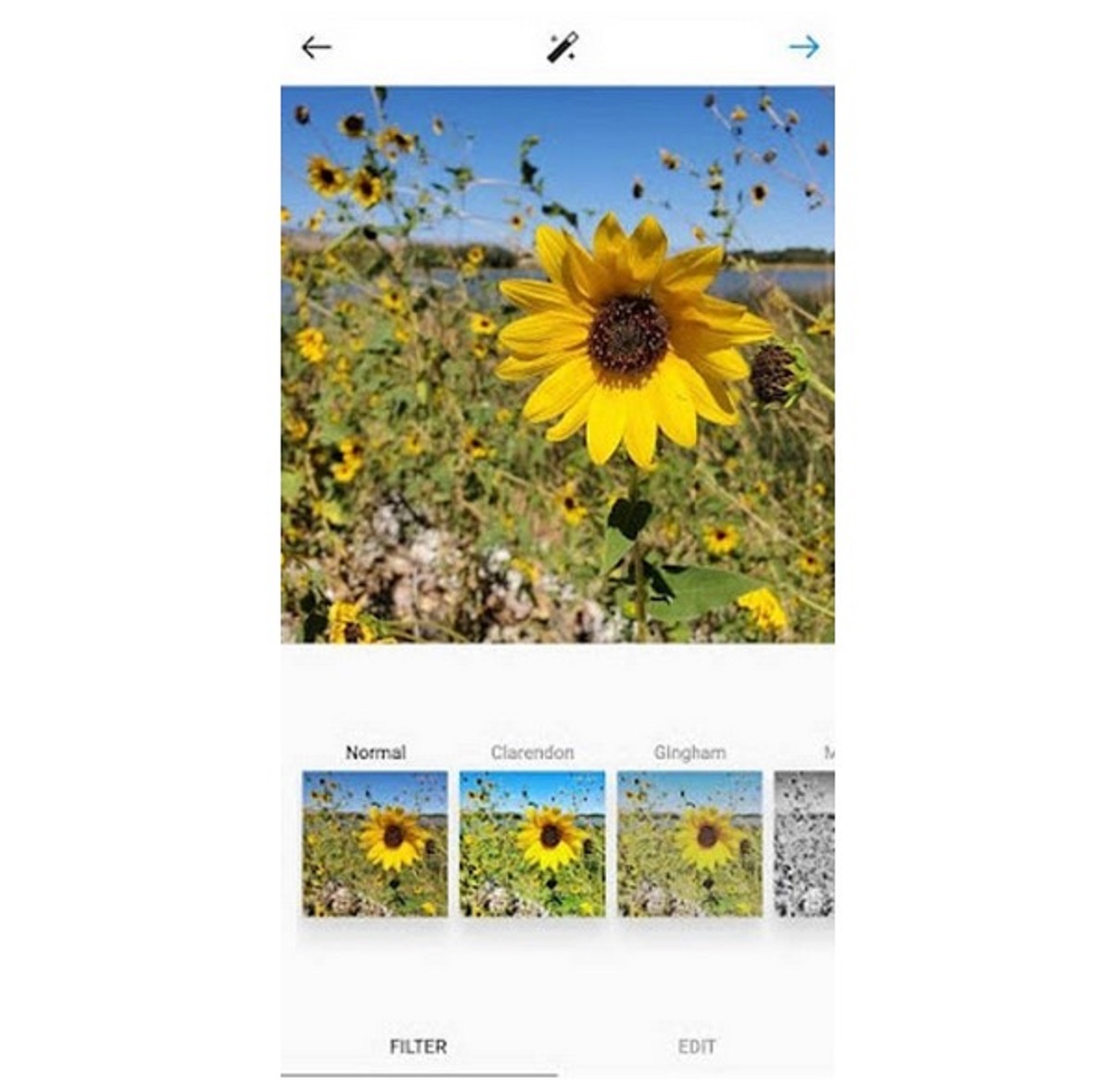 اضافه کردن فیلتر به عکس