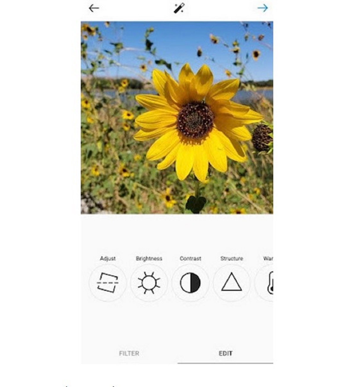 ادیت عکس در اینستاگرام