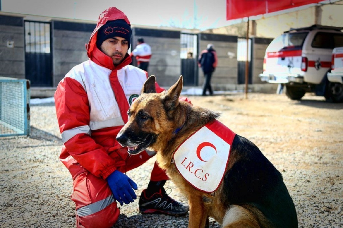 سگ‌های جست‌وجو و نجات هلال‌احمر ایران در ترکیه +فیلم