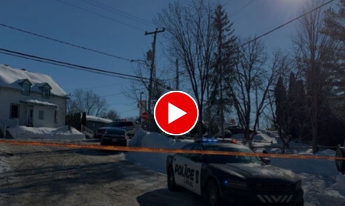 اخبار حوادث