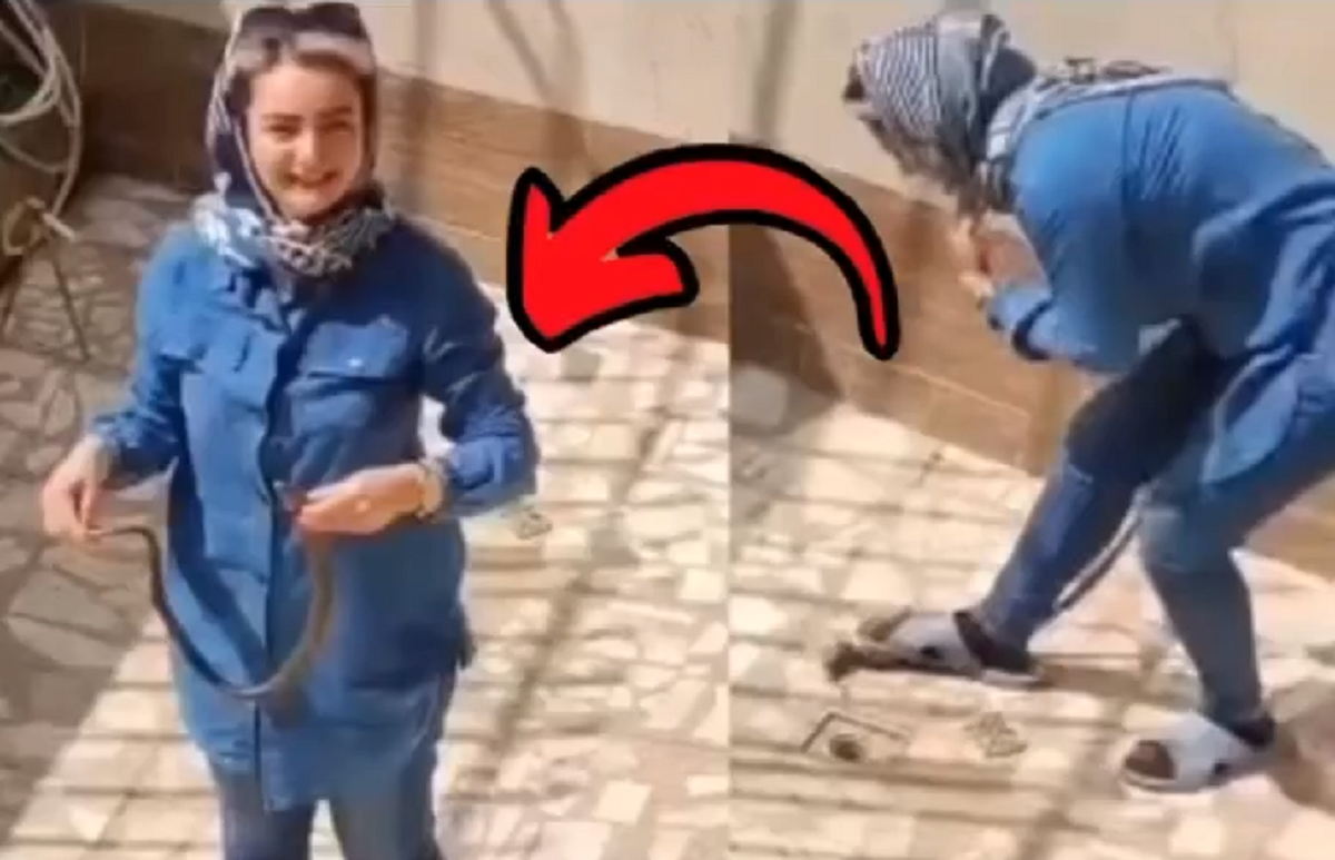 ویدئویی پربازدید از مارگیری دختر ایرانی فقط با دو حرکت!