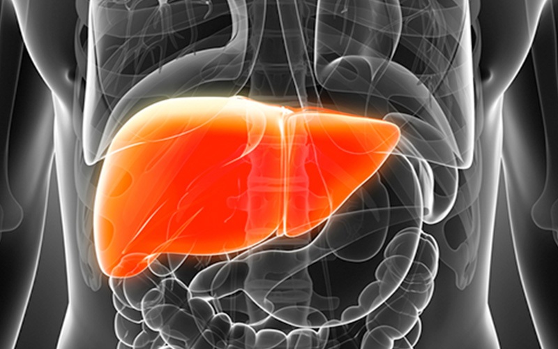 برای پایین آوردن آنزیمهای کبدی چه باید کرد؟ رویداد24 برای پایین آوردن آنزیمهای کبدی چه باید کرد؟ رویداد24