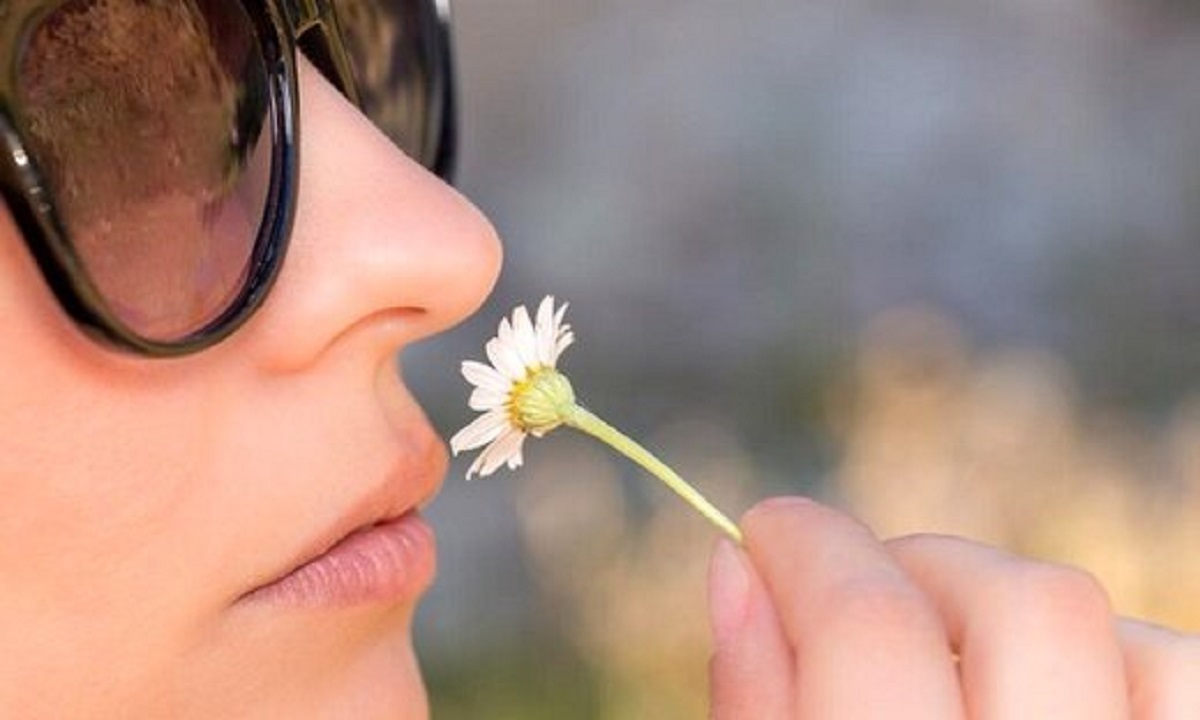 رایحه خوب رایحه خوب