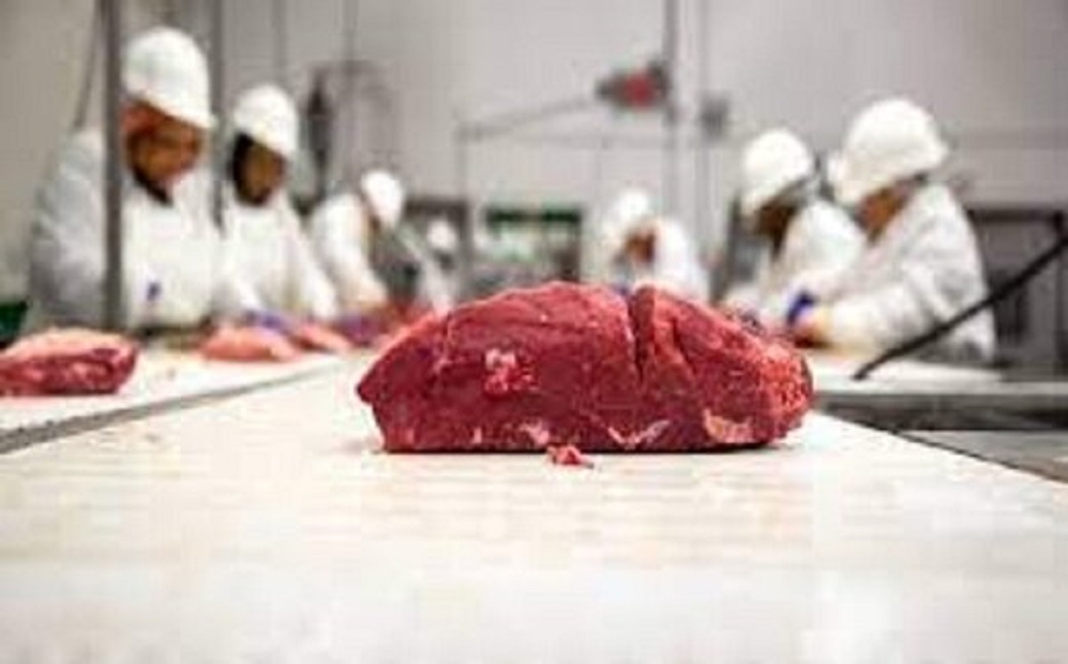 قیمت گوشت قیمت گوشت