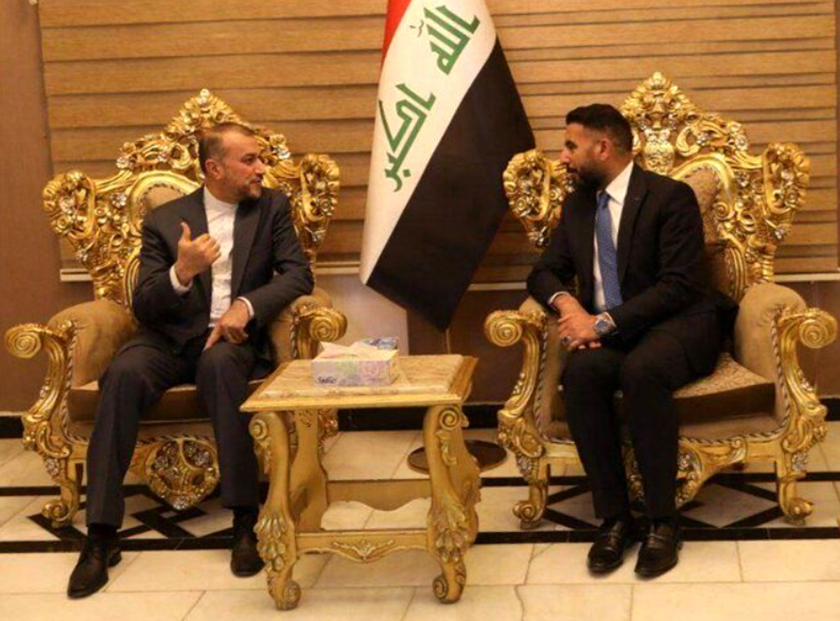 امیر عبداللهیان در نجف + عکس