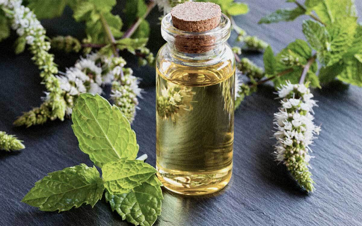 این افراد به هیچ عنوان عرق نعناع نخورند