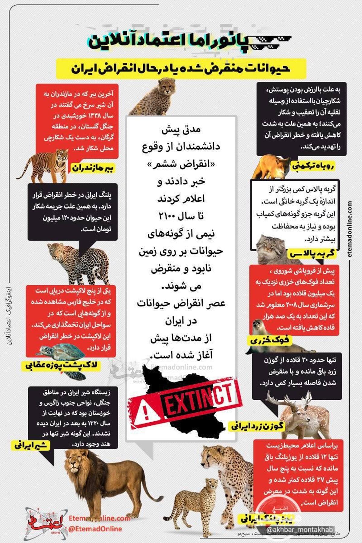 کدام حیوانات ایرانی منقرض شده‌اند؟