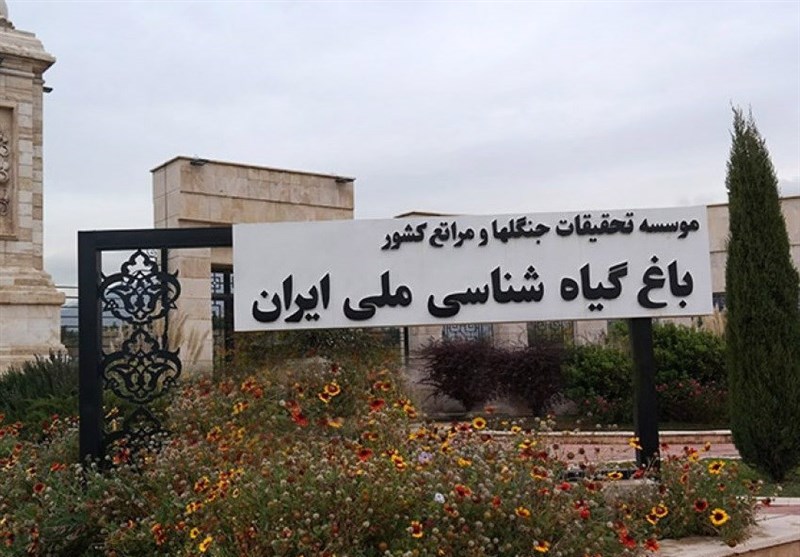 تنها راه حل جلوگیری از ساخت و ساز مجاور باغ گیاه&zwnj;شناسی چیست؟