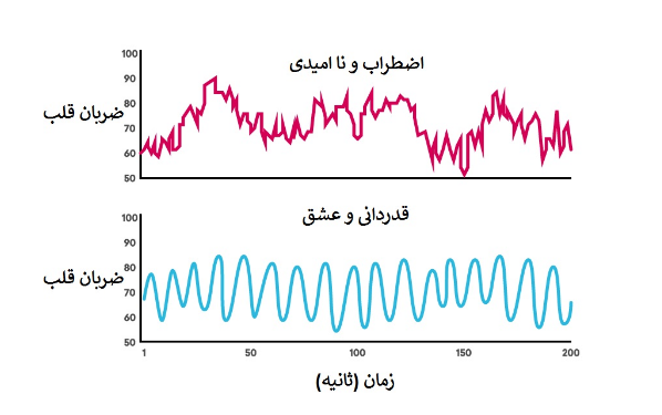 واقعیت جالب درباره قلب و مغز