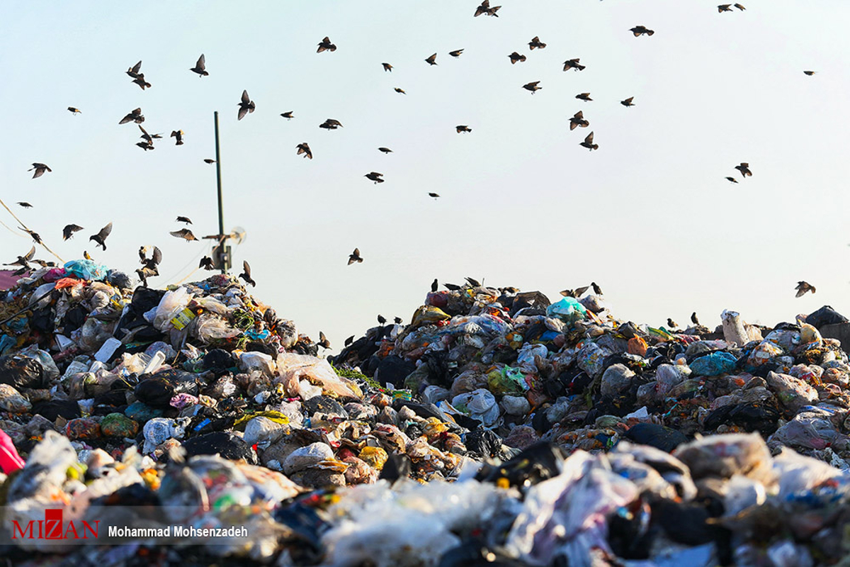 بازیافت در خدمت زمین پاک