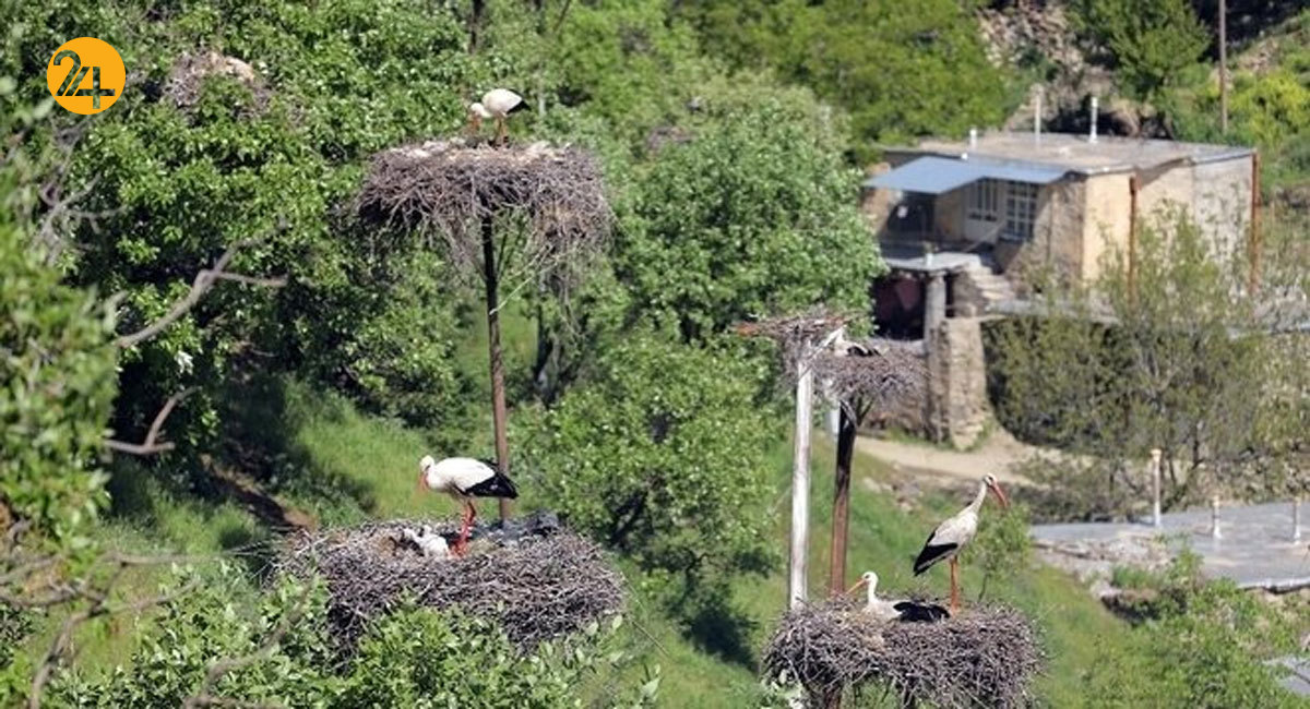 روستای لک لک ها در مریوان