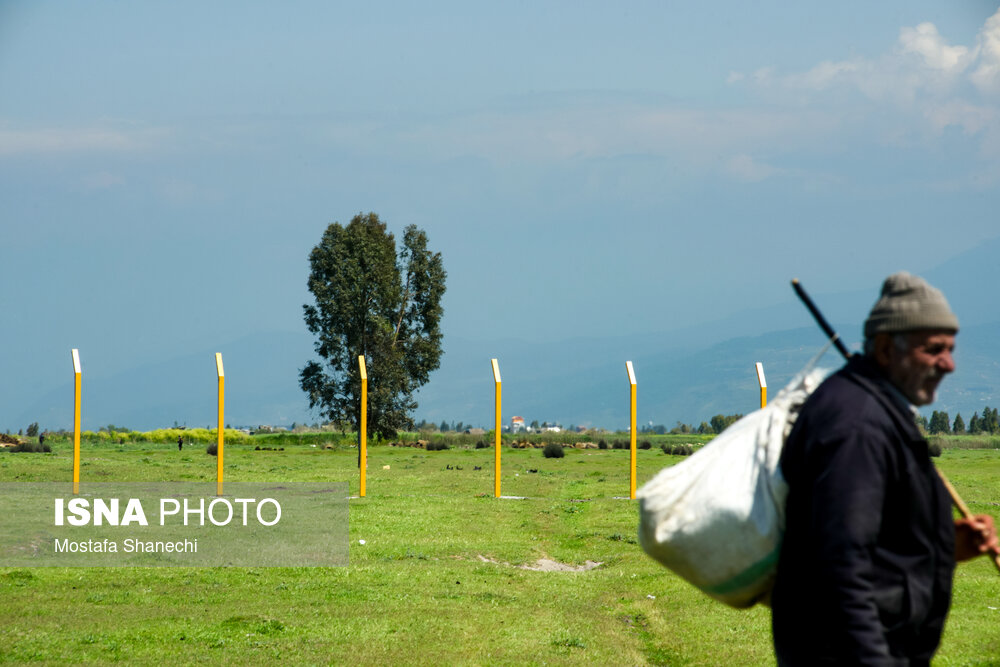 پتروشیمی میانکاله