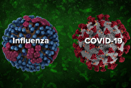 ویروس کرونا کشنده‌تر است یا آنفلوآنزا؟