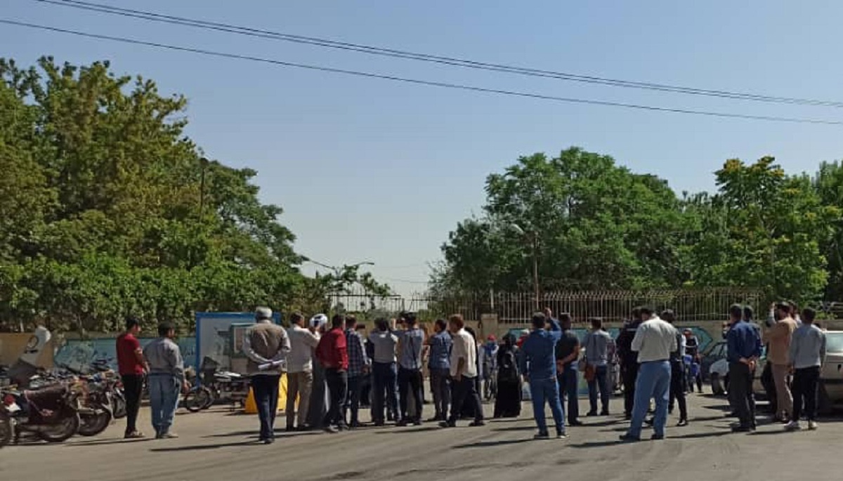 قطع درخت در مشهد