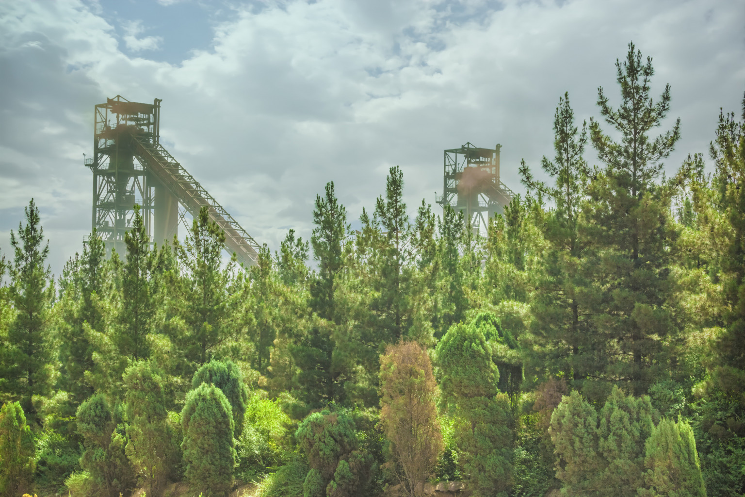 حفظ محیط‌زیست؛ مهم‌ترین معیار توسعه پایدار