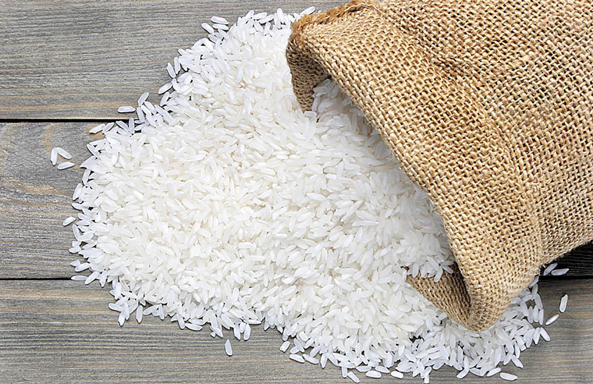 قیمت جدید برنج اعلام شد/ چه نوع برنجی وارد می‌شود؟
