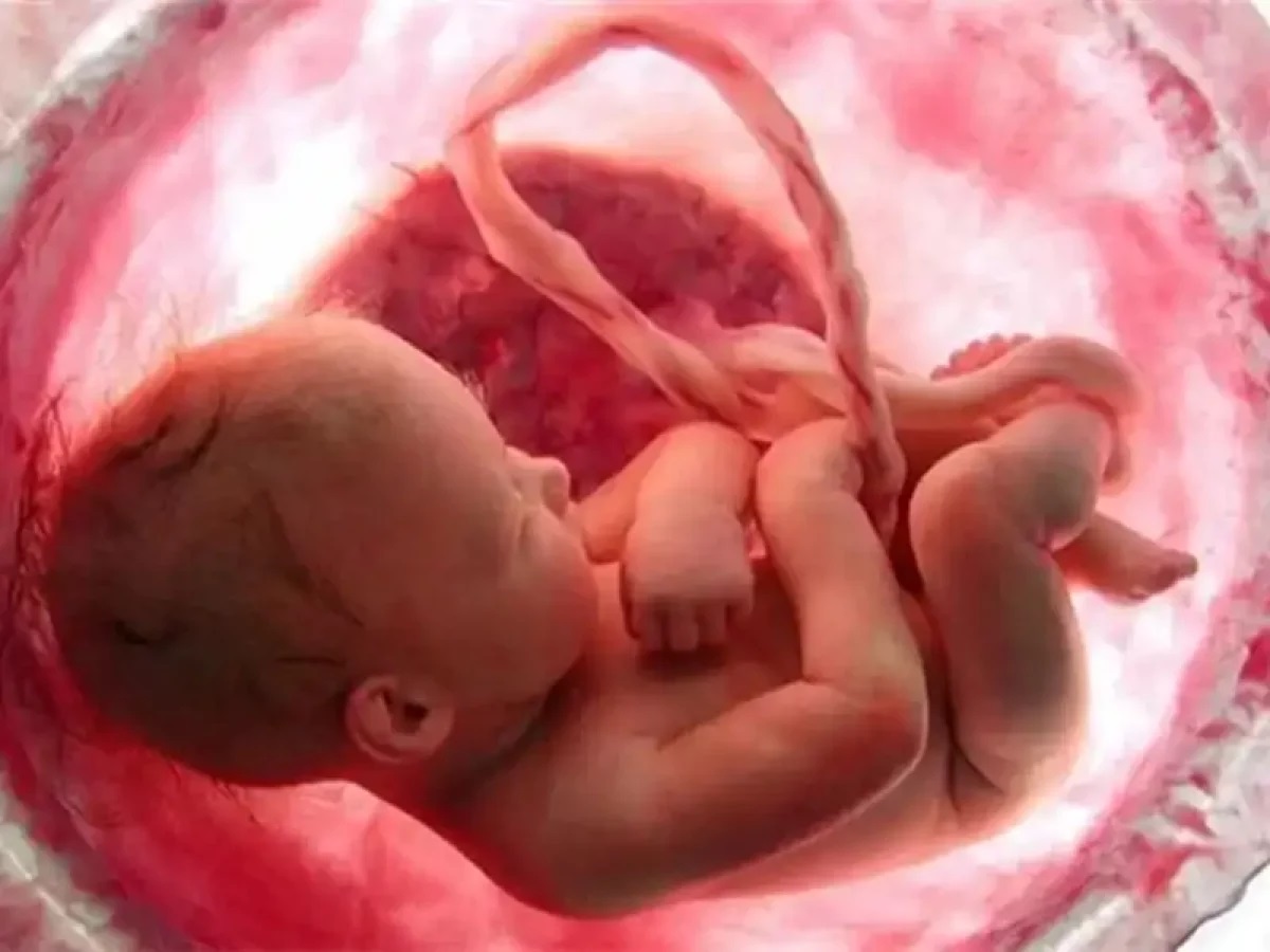 آمار نگران کننده افزایش سقط جنین بخاطر جنسیت