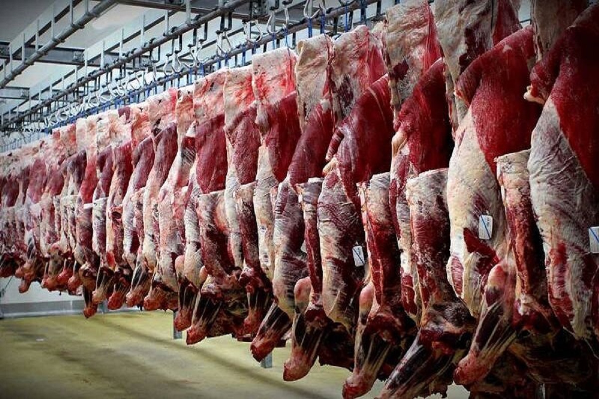 قیمت گوشت گوسفند و گوساله در میادین