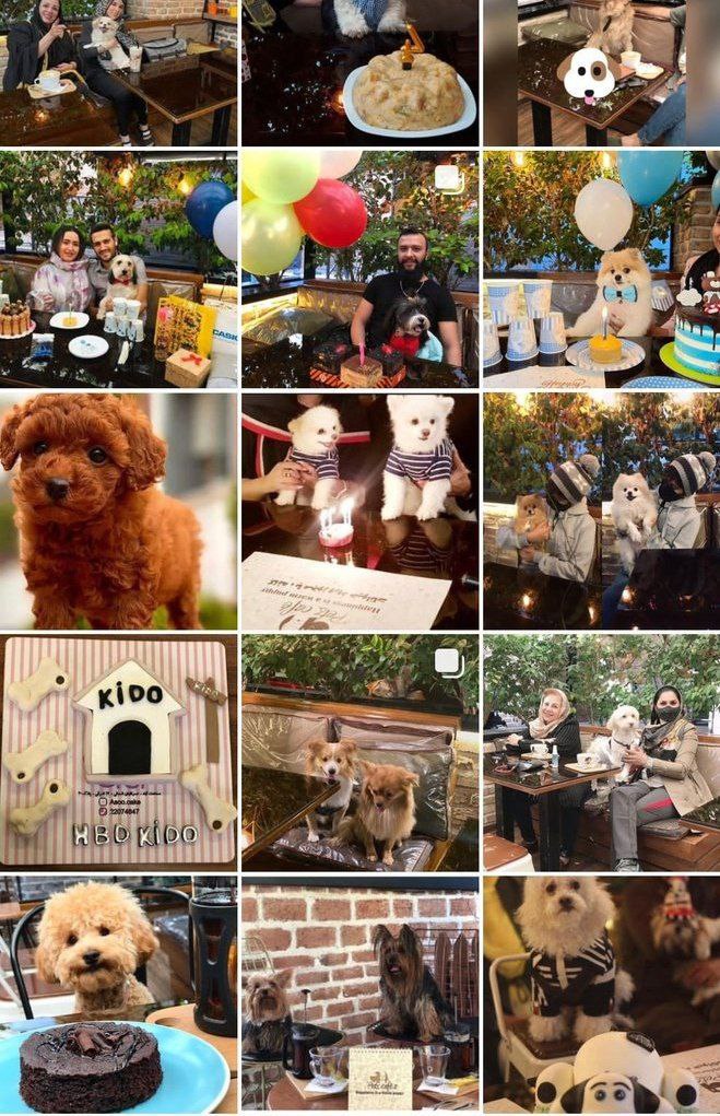 افتتاح کافه مخصوص حیوانات خانگی در تهران! +عکس