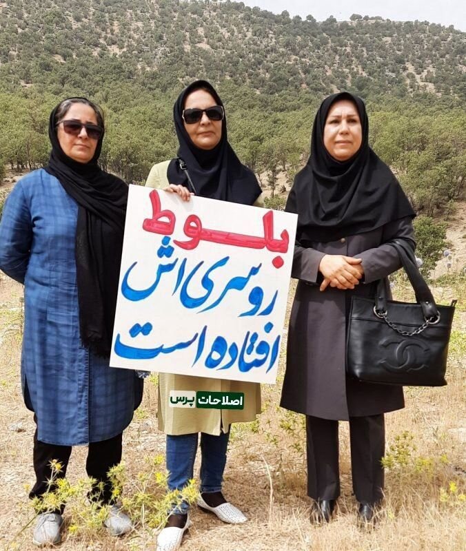 کنایه فعالان محیط زیست برای جلب توجه مسئولان: بلوط روسری اش افتاده کنایه فعالان محیط زیست برای جلب توجه مسئولان: بلوط روسری اش افتاده