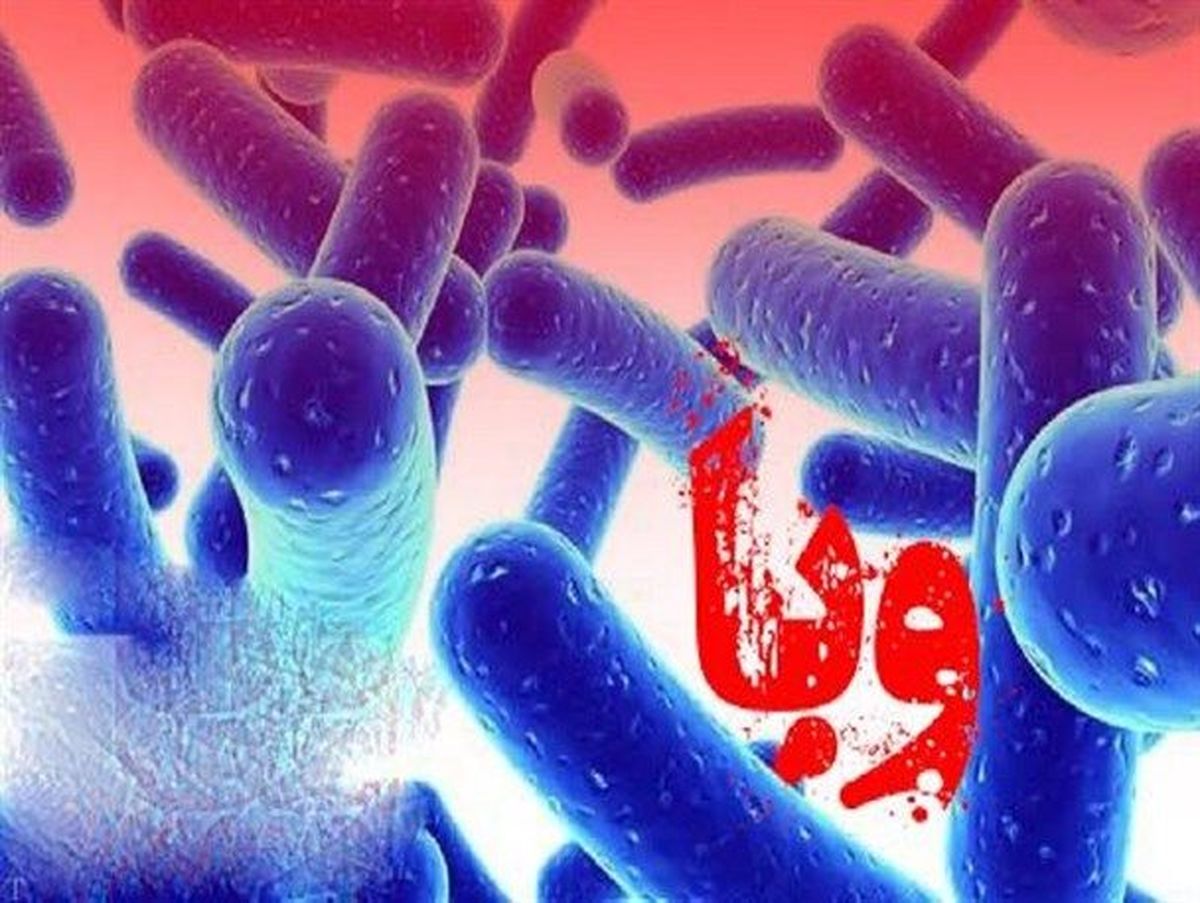 بستری شدن ۱۰ بیمار مشکوک به وبا در یک استان