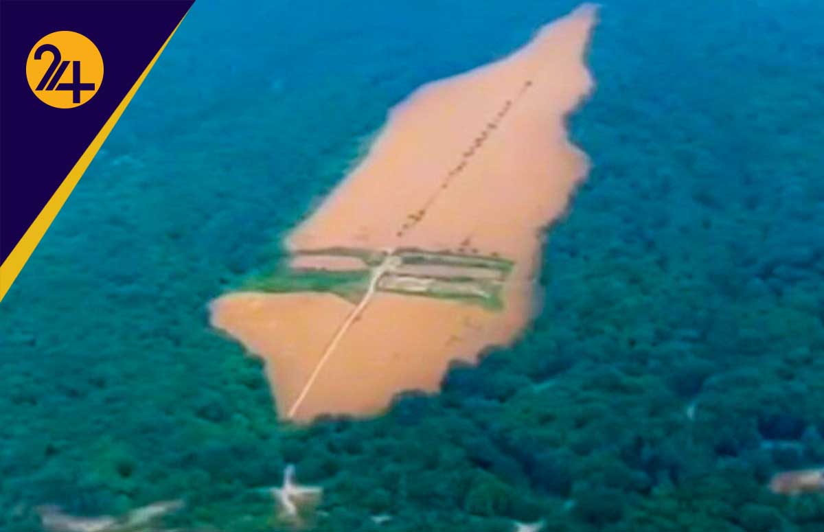 پاکتراشی جنگل هیرکانی پاکتراشی جنگل هیرکانی