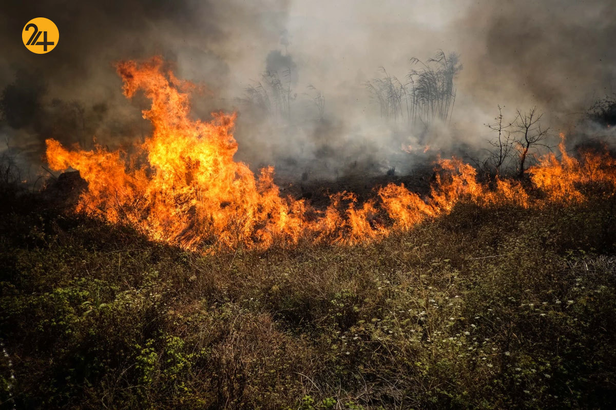 آتش‌سوزی جنگل‌های پرتغال