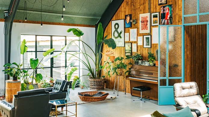 معرفی گیاهانی که به نور زیاد نیاز دارند معرفی گیاهانی که به نور زیاد نیاز دارند