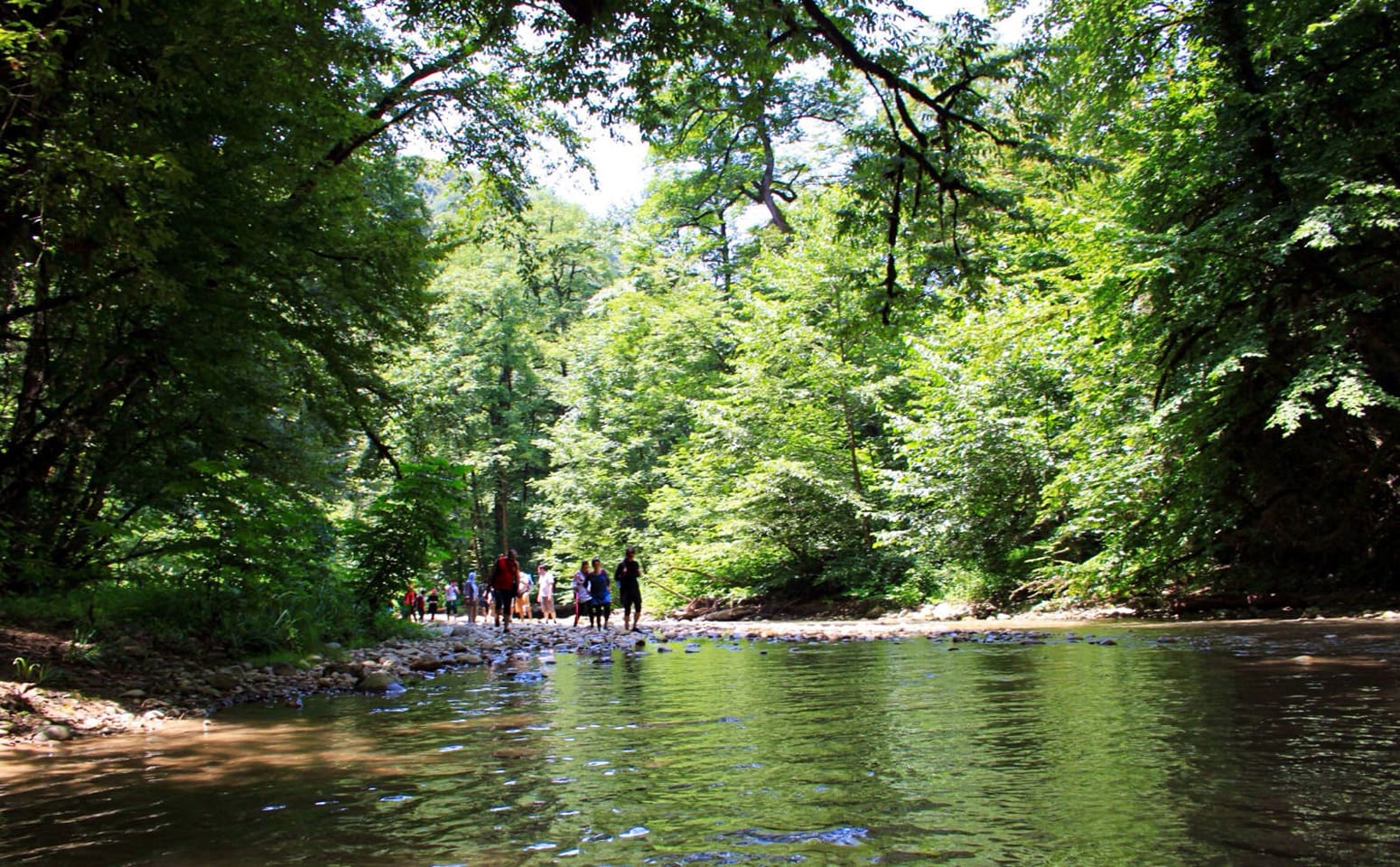 راز‌های نهفته جنگل جیغ روستای سربرج
