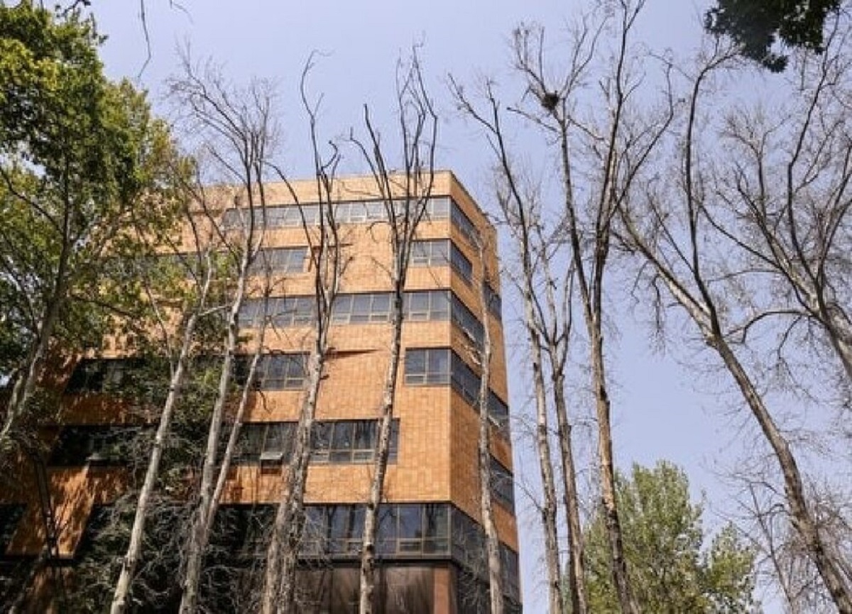 خشکاندن درختان خشکاندن درختان