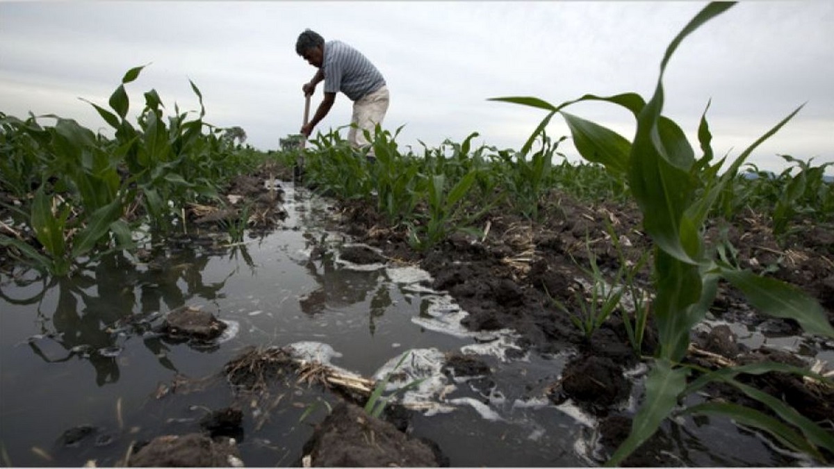 تصاویر دردناک از تخلیه محصولات یک کشاورز به داخل رودخانه! +فیلم